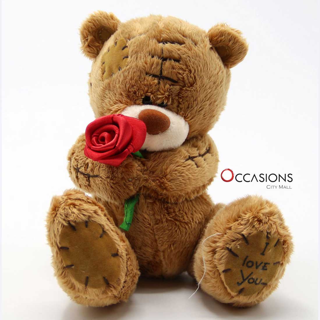 Teddy with Rose